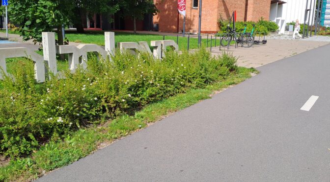 Kuidas ma Narva Vabaduse festivalil püksirihma pingutasin