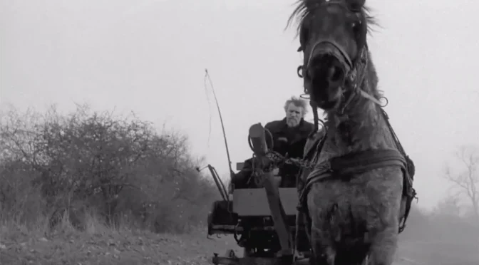 Mälestades eakaaslasi